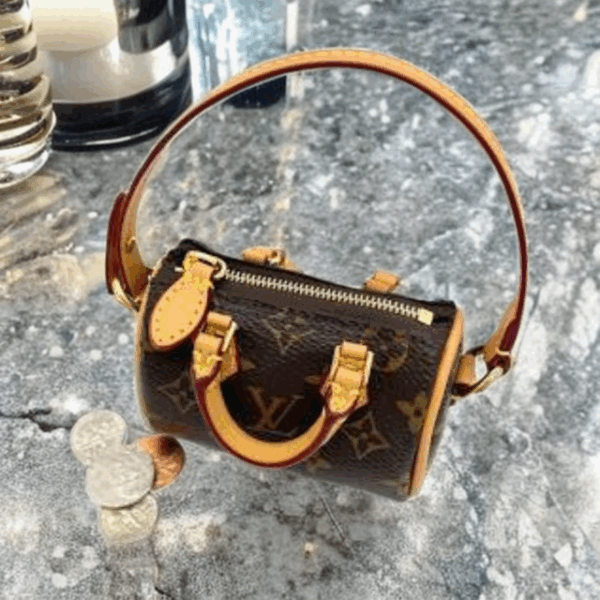 LV Micro Speedy Bag Look Expensive, Shop Smart on The Little Yellow App