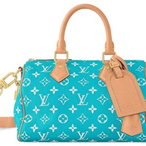 LV Speedy Crossbody Bag Look Expensive, Shop Smart The Little Yellow App