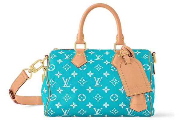 LV Speedy Crossbody Bag Look Expensive, Shop Smart The Little Yellow App